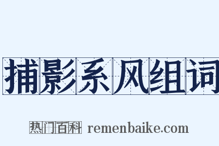 捕影系风组词是什么意思的图片